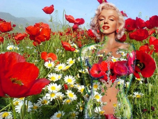 image de mon amie canelle